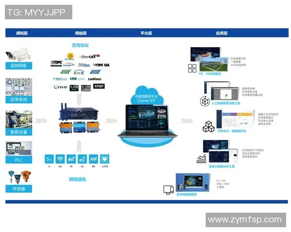 上海滑板队的管理模式与发展现状深度分析与探讨