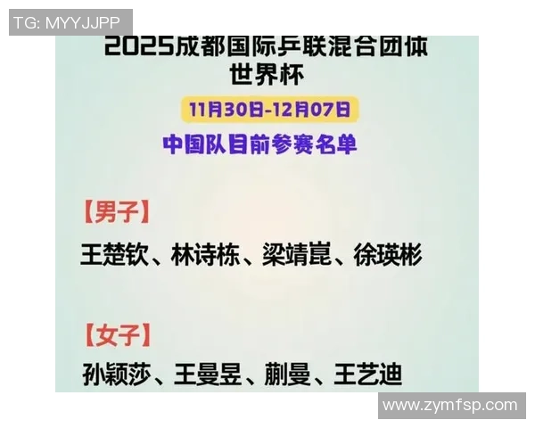 成都乒乓球队在阵地战中的表现分析与未来发展展望