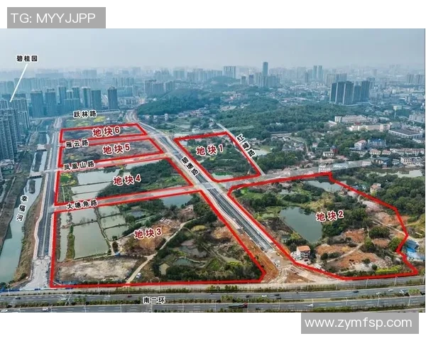 成都极限运动队整体压制现象分析与未来发展趋势探讨