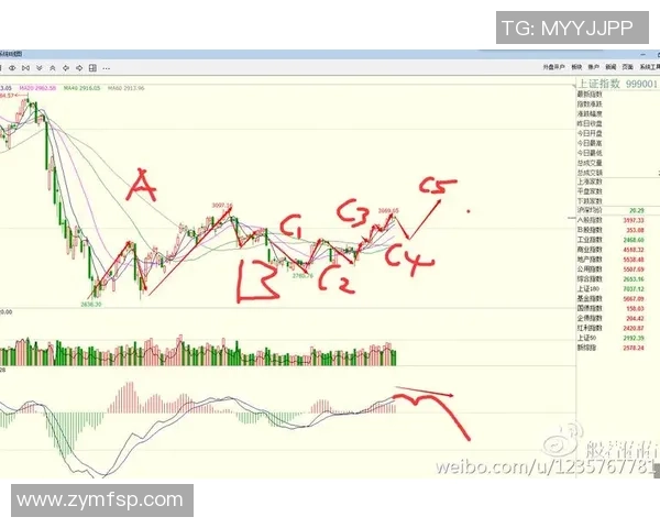 上海极限运动队防守策略分析与比赛表现评估