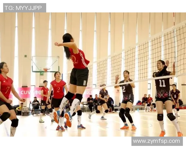 与张静畅谈排球生涯的辉煌与挑战以及对未来的展望