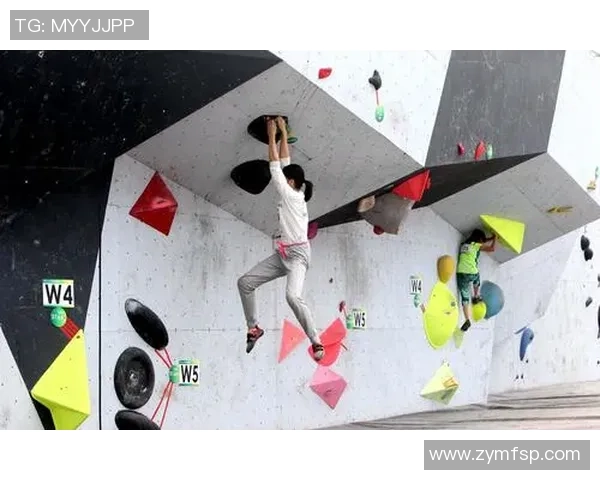 南京攀岩队的意识探讨与攀岩文化的融合与发展分析 南京攀岩队的意识探讨与攀岩文化的融合与发展分析